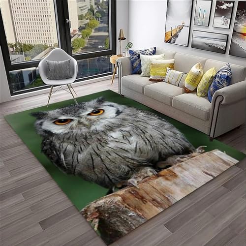 3D Tapis Imprimé Pour Salon Chambre Décoration De La Maison Moderne Flanelle Antidérapante Chambre D'Enfants Tapis De Sol De Jeu, Chouette Des Animaux 50 X...