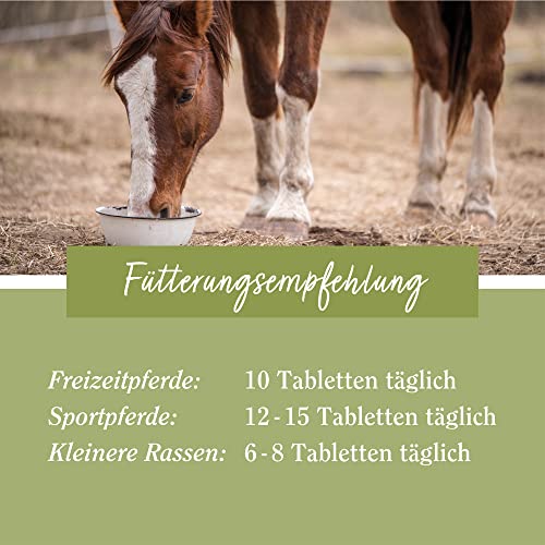 tierlieb Zink-Tabletten für Pferde, für Fell, Haut & Hufe, 500 Tabletten