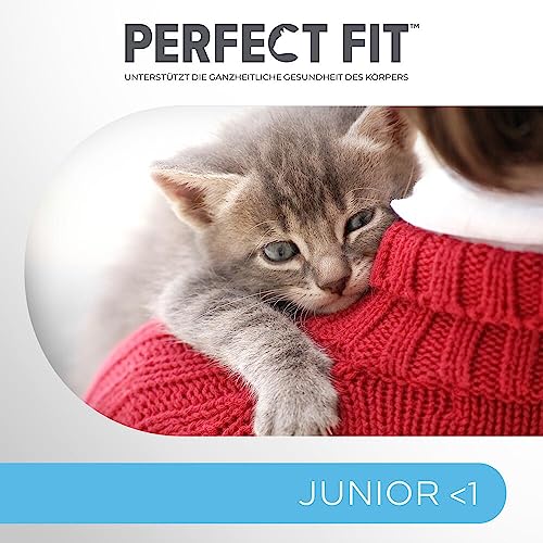 PERFECT FIT Junior Trockenfutter für junge Katzen unter 1 Jahr - Huhn, 7 kg (1 Beutel)