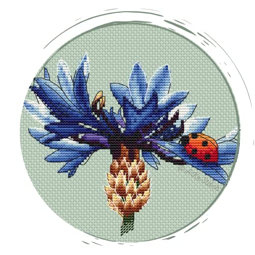 Kit point de croix bleuet broderie motif fleur sauvage bleu