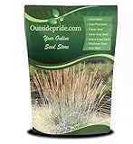 Outsidepride Indian Native Grass Seed - 1 lb. Perennial, Low...