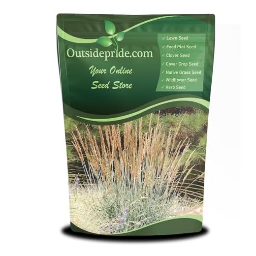 Best garden grass in india Indian Native Grass Seed for Landscaping