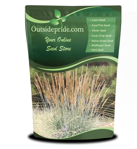 Outsidepride Indian Native Grass Seed - 1 lb. Perennial, Low Maintenance, Drought-Tolerant Prairie Grass Seed for Wildlife Habitat, Livestock Forage, Ornamental Landscaping & Erosion Control