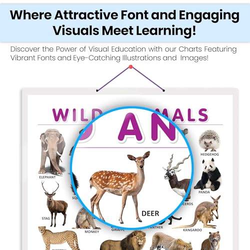 Image of GO WOO WILD ANIMALS CHART HARD LAMINATED | Jungle Explorers Animal Chart