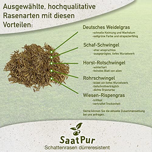 Foto von SaatPur® Rasensamen Schattenrasen Dürreresistent 5kg für ca. 150 m², Mehrjährige Rasemischung aus mehreren Rasenarten, meistens 4 bis 5, satt grün, schnellkeimend, hitzetolerant, Neusaat und Nachsaat