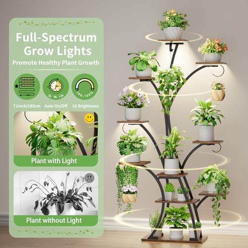 Image of Plant Stand Indoor with Grow Lights - Lighted Plant Shelf Indoor, 64 inch Tall Corner Plant Stands for Indoor Growing, 10 Tier Flower Display Shelf, Large Tree-Shaped Holder for Home, Living Room, Black