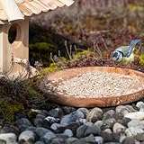 Lyra Pet® | 25 kg Sonnenblumenkerne Geschält | Wildvogelfutter Ganzjährig | Ideal für Jungtiere | Vogelfutter für Wildvögel | Wertvolles Streufutter | Energiespender ohne Schale | Sommer und Winter