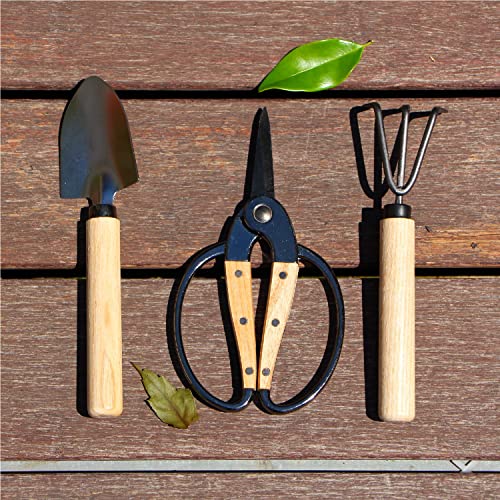 N&V Bonsai Scheren Set, 3 Stück Set inkl. Bonsaischere, Mini-Rechen und Mini-Schaufel, zum Arrangieren von Blumen, Trimmen von Pflanzen, für Anzucht- oder Gartenarbeit, Bonsai-Werkzeuge - Image 6