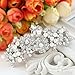EVER FAITH Bridal Silver-Tone Flower Simulated Pearl Hair Barrette Clear Austrian Crystsal