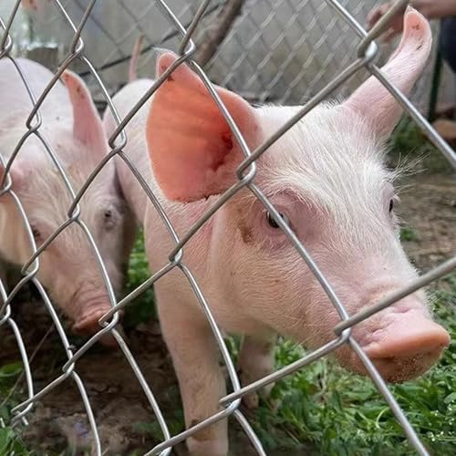 Malla Metálica Galvanizada Rigida Marca HWLL