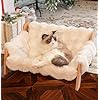 CHEERHOME PETS Elevated Cat Couch Bed for Indoor Cats, Wooden Cat Sofa with Removable Washable Fluffy Cover Raised Kitty Lounge Chair Suitable for Puppy(Cat Sofa Off-White)