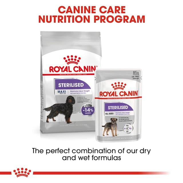 Royal Canin Sterilised Maxi sucha karma dla kastrowanych dużych psów, 12 kg