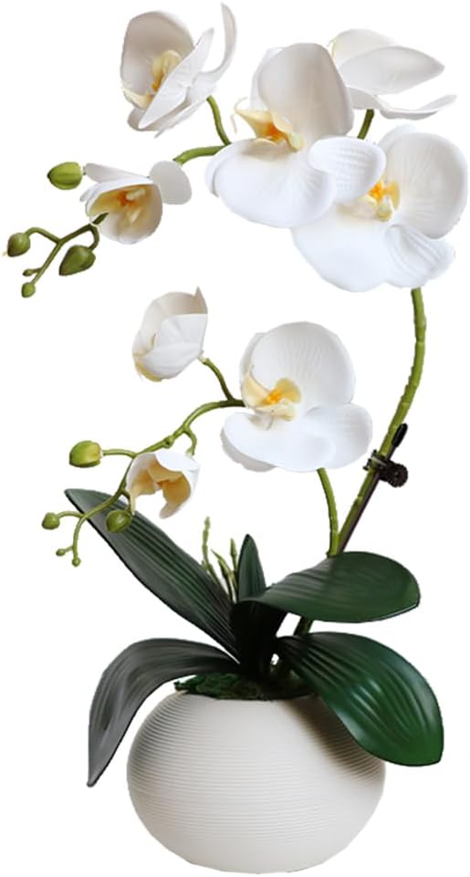 LESING Artificial Potted Orchid Flower for Table Centerpieces,Real Touch White Fake Orchid Flowers in Vase for Home Decoration (Style 5,White)