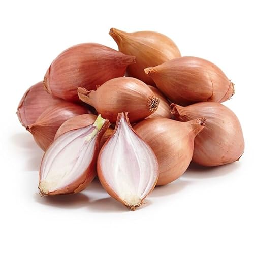 ԂIjI bhVbg xgiY 500g LŊÂ݂̂鏬ʂ˂ uߕEgEsNXɍœK RED ONION SHALLOT^HANH TIM (500g×6)