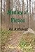 Medley Of Fiction: An Anthology