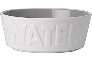 Ceramic Water Bowl for Cats: Say Farewell to Thirsty Kitties