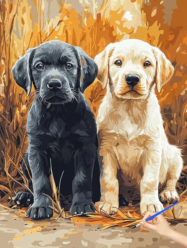 G  hG  Paint by Numbers io[yCg q S DIY Cheerful Painting H| |ph ANLbg l̂߂̃NGCeBuȎ av[g z[ ItBX̕Ǒ