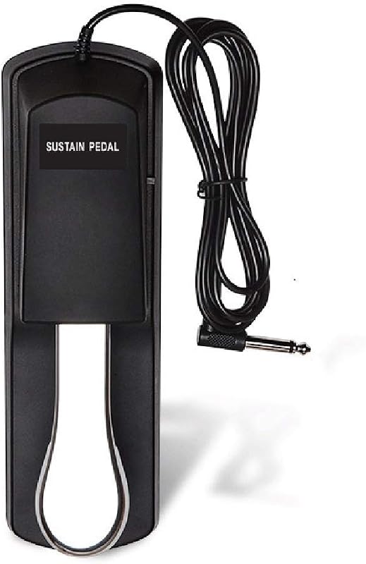 Sustain Pedal for Keyboard Digital Piano Universal Sustain Pedal Foot Damper Pedal