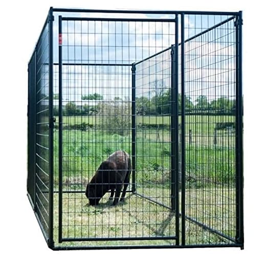 Chenil extérieur pour Chien 3 x 1,5 avec Porte Modulable | Treillis Soudés d'acier avec Laquage Tiger Dry Lac | Assemblage Facile,– Lucky Dog (300 x 150 x H 180)