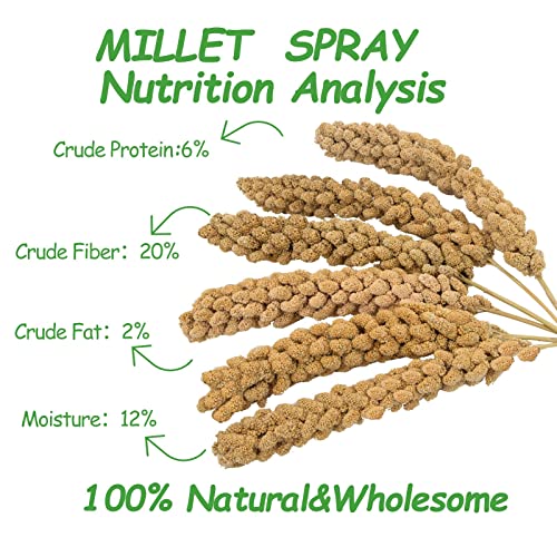 Ranz 5Lbs Millet Spray For Birds, Gmo-Free, Sun Dried Spray Millet, Original Bird Treats & Supplement For Parrots, Cockatiels, Lovebirds, Painted Buntings And Finches, Parakeets Food Millet #TOP2