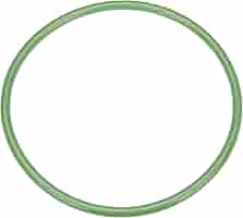 Amazon.com: URO Parts 0259971845 Fuel Pump O-Ring : Automotive