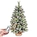 Produktbild Yorbay Mini Weihnachtsbaum mit Beleuchtung LED, 70 cm Tannenbaum mit Stern-Baumspitze und echtem Kiefernzapfen, für Weihnachten Dekoration, Advent (70 cm mit Fernbedienung)