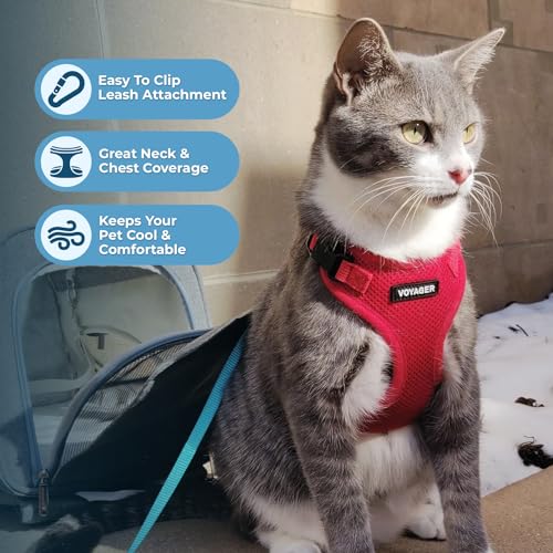 Image of Voyager Escape-Proof Step-in Lock Cat Harness & 5ft Neoprene-Handle Leash Set All-Weather Mesh with Reflective Stitching for Small to Large Cats by Best Pet Supplies, Red, XS