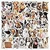 50 calcomanías divertidas para perros, calcomanías de perros para niños, calcomanías de animales de cachorros, calcomanías de vinilo impermeables para laptop, teléfono, equipaje, funda de teléfono