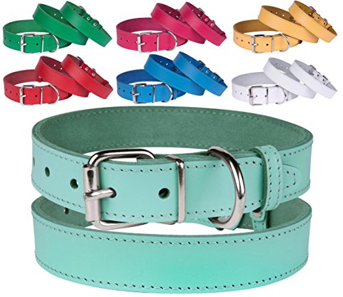 BRONZEDOG Genuine Leather Dog Collar Puppy Pet Collar for Dogs Small Medium Large Pink Red Blue Green Turquoise White Yellow (Neck Size 15 - 17 , Turquoise)