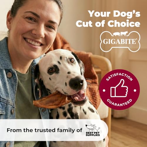 Image of Best Pet Supplies GigaBite Half-Cut Pig Ears for Dogs, 40 Pack - All-Natural Slow-Roasted Chews that Clean Teeth and Satisfy Aggressive Chewers