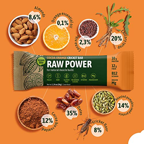 Raw Power Cocoa Orange Cricket Bar, Fit and Active Protein Bars, Nutritious Paleo Diet Snacks, Meal Replacement Bars with Cricket Protein, Energy Bar for Post Workout, Pack of 8 - Green Bite - Image 3