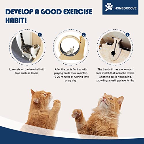 Image of homegroove Cat Wheel, Upgraded Cat Wheels for Indoor Cats, 43.3 inch W Cat Exercise Wheel Treadmill for Kitty's Longer Life, Large Cat Running Wheel for Fitness Weight Loss