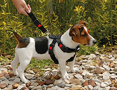 Karlie Auto Cintura Di Sicurezza - Foto 9