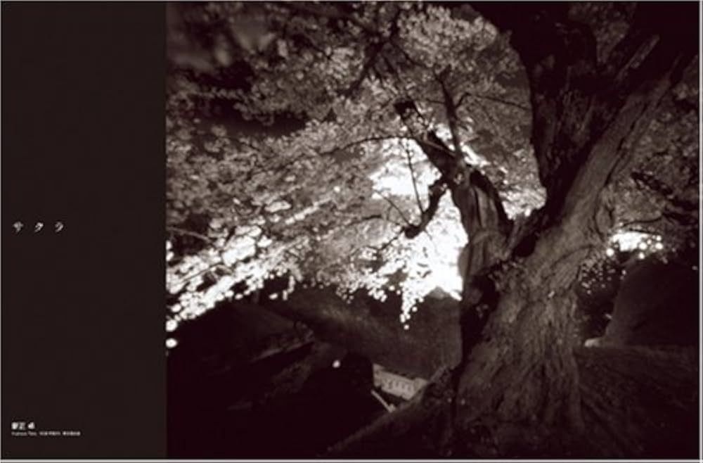 風の旅人 23号から44号まで 風の旅人 23号から44号まで 風の旅人 23号から44