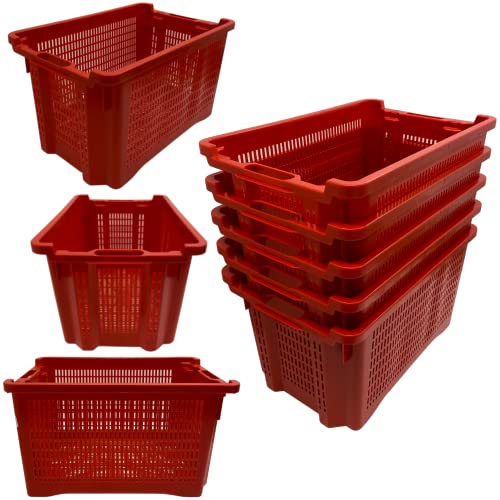 acquaverde | 5 cassette agricole con fondo traforato in plastica 40 litri (30 kg), cesta per raccolta olive, impilabili e sovrapponibili, con manici, cm. 56x35x31