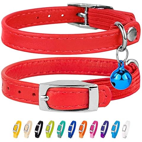 Collier pour Chat en Cuir CollarDirect Cover