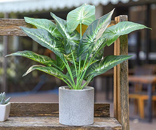 WUKOKU 16\" Fake Plants Faux Potted Plants Small Artificial Plants Indoor for Home Farmhouse Office Desk Bathroom Kitchen Bedroom Decor