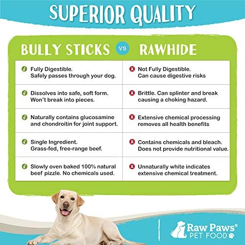 Are Dog Bully Sticks Safe