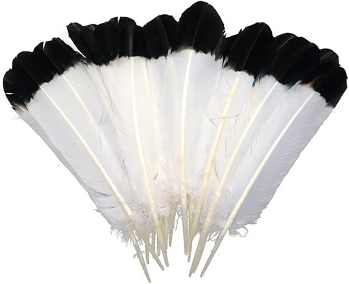Ws&Wt 20 plumas de pavo de 10 a 12 pulgadas para manualidades, plumas redondas, alas derechas e izquierdas, decoración de fiesta, disfraz de fiesta,