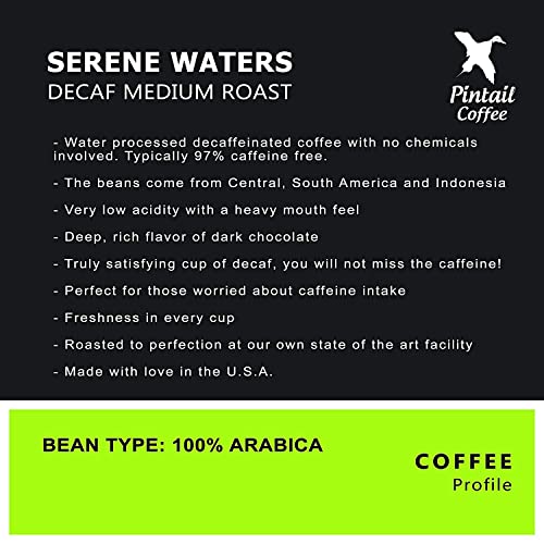 Pintail Coffee - Café en grano descafeinado 12oz miniatura 2