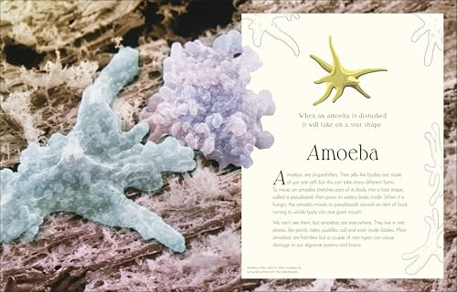 An Anthology of Micro Life: Discover the Stories of the Miniature World (DK Children's Anthologies) Hardcover – September 15, 2026 - Image 4