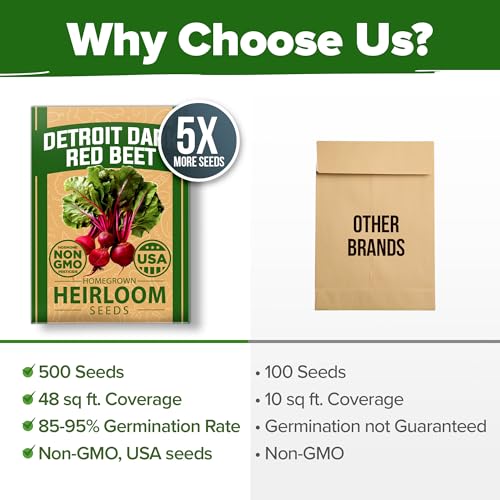 Image of HOME GROWN Detroit Dark Red Beet Seeds 500+ Heirloom Non GMO Seeds for Planting, High Germination, Sweet & Tender Root Vegetable, Edible Greens, Canning, Pickling, Winter Storage (Beta vulgaris)