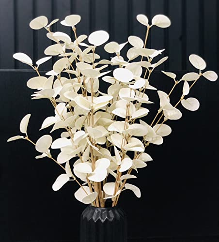 Sorola 3 Eucalyptus Stems Artificial Faux Branches Leaves 70cm Large Flower Bouquet Bunches Arrangements for Home Decor (White) - Image 2