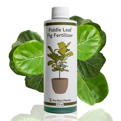 Perfect Plants Liquid Fiddle Leaf Fig Fertilizer