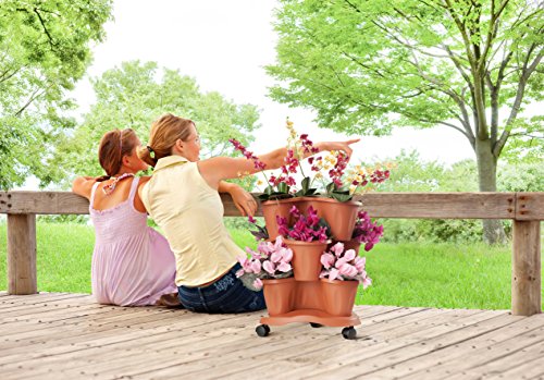 Bama 30015 Trifoglio