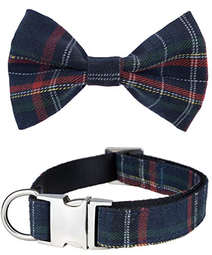 Dashin' Dogz Blue Plaid Dog Collar with Bowtie - Blue Dog Collar with Bow - Navy Blue Dog Collar with Bow Tie - Blue Plaid Dog Collar in Scottish Tartan - Coyar para Perros Tartán - (Large Blue)