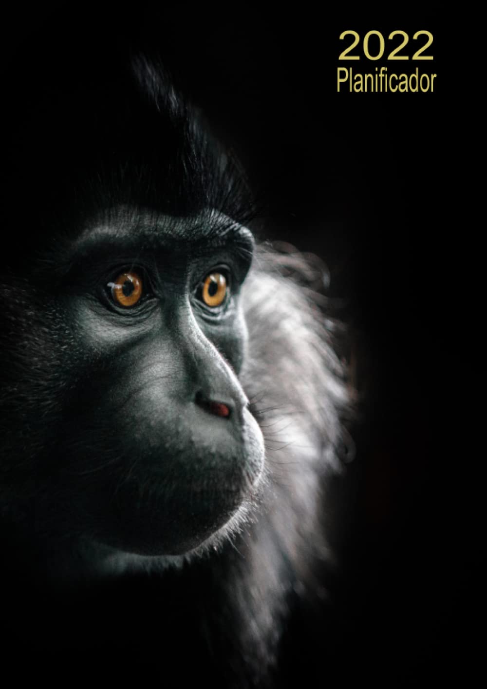 Planificador 2022: Agenda dia por pagina A4 español 365 dias - mono |12 meses enero a diciembre 2022 | XXL Planificadora diaria y mensual , Organizador Calendario 2022