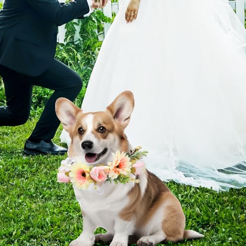 Hunde Hochzeitsblumenhalsband, Hundehochzeitskranz Schleife Haustier Blumenhalsband Blumenkranz Florale Hundekleidung Foto Requisiten Ring für Hunde Haustier Hochzeitsdekoration