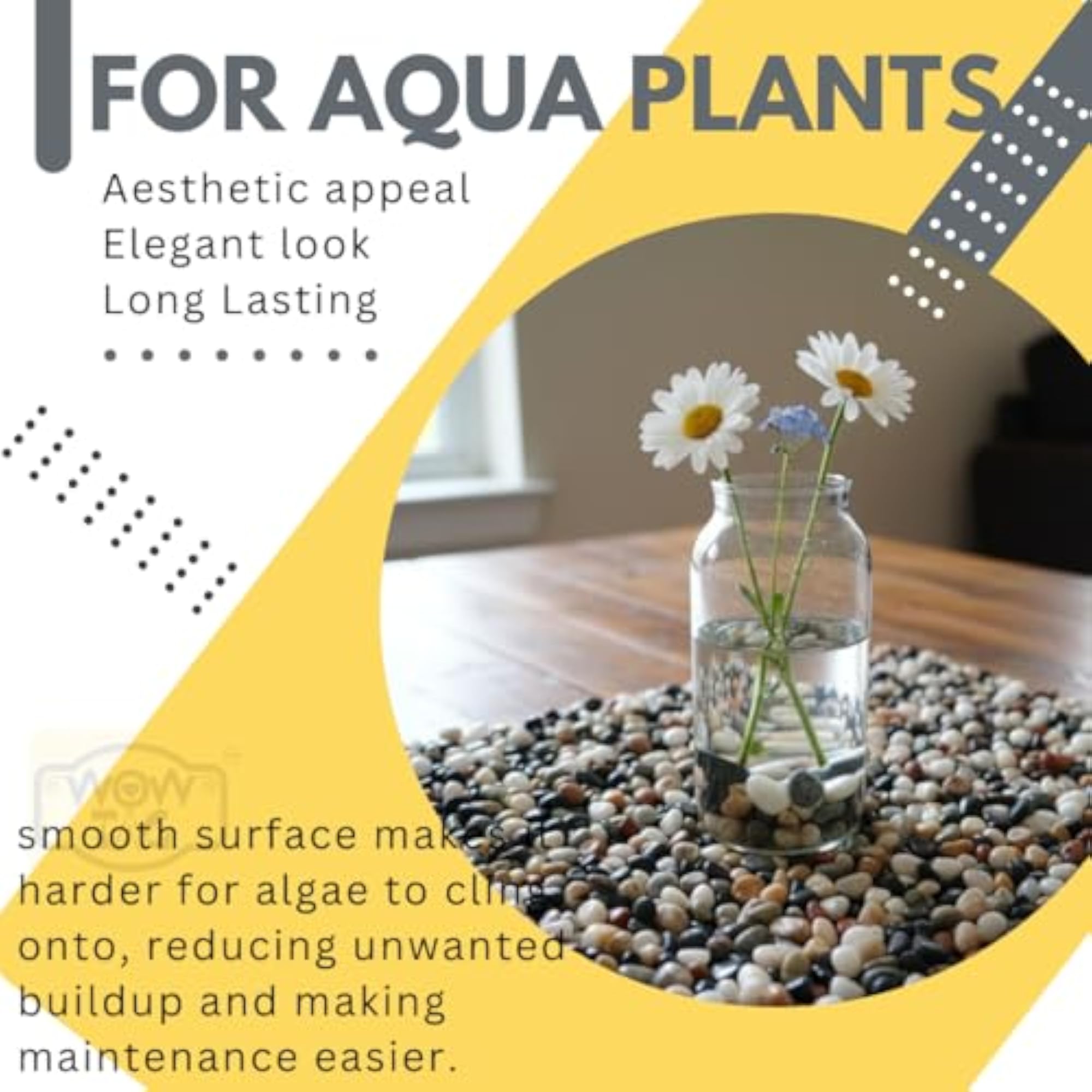 Tiny Pebbles for Aquarium & Garden Decor