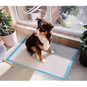 Pettrainingandpuppypadspeepadsfordogs22x22superabsorbentleakproof  Urban Country Home Decor Pet training and puppy pads pee pads for dogs 22×22 super absorbent leak proof  urban country home decor